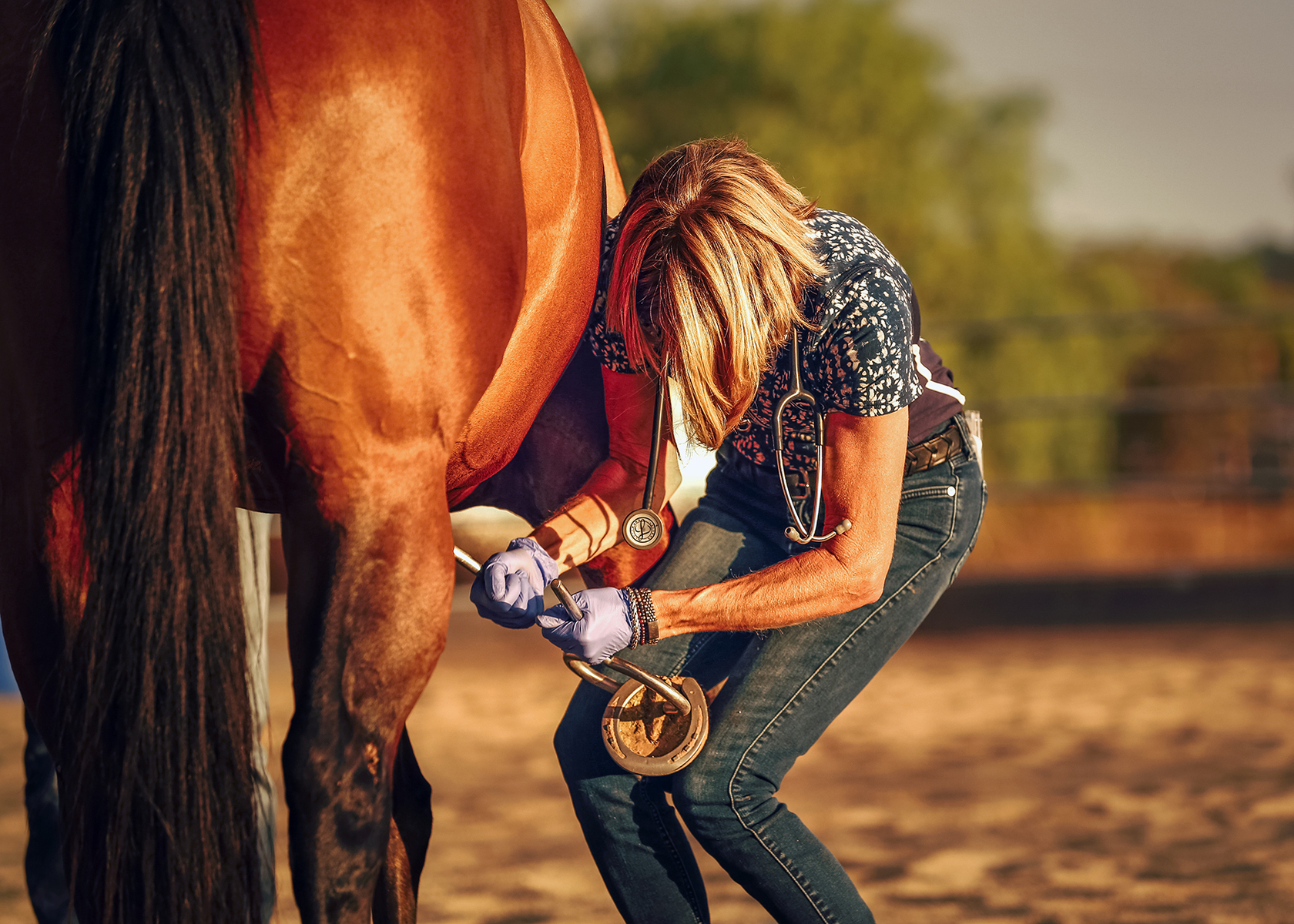 Cedar Creek Holistic Veterinary Practice