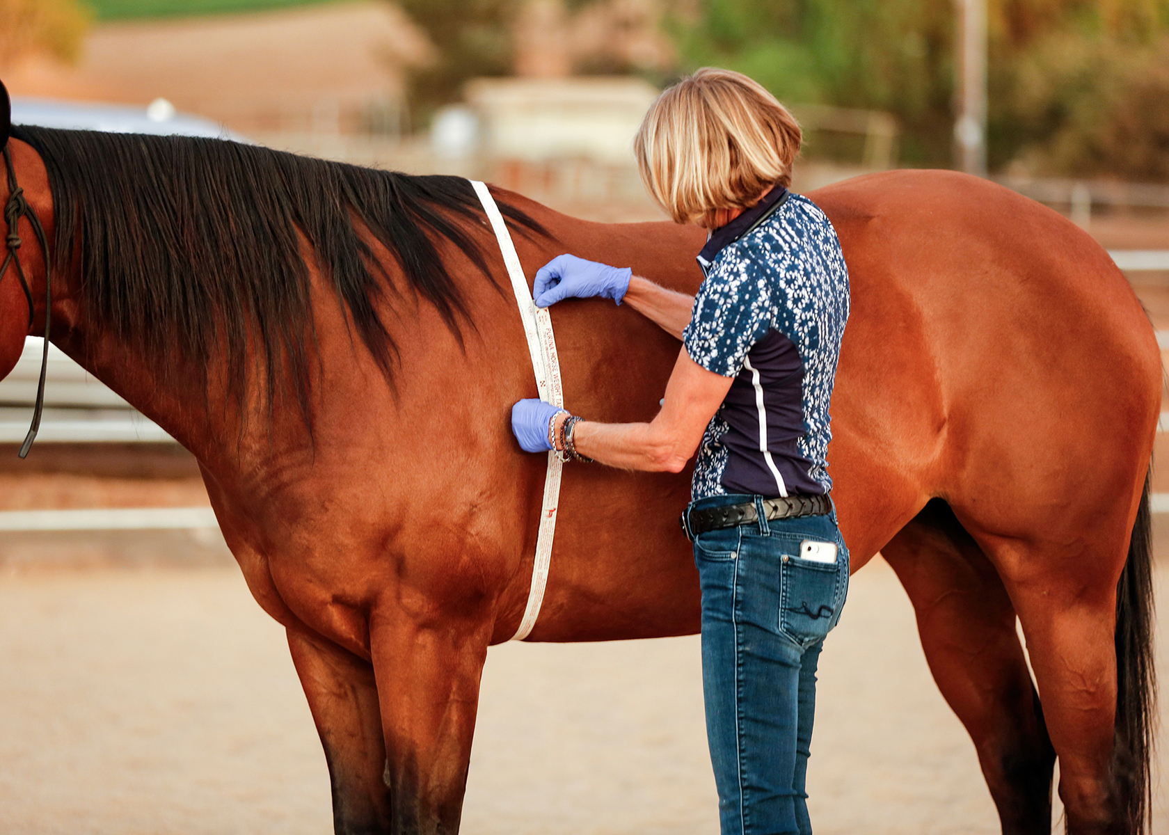 Cedar Creek Holistic Veterinary Practice