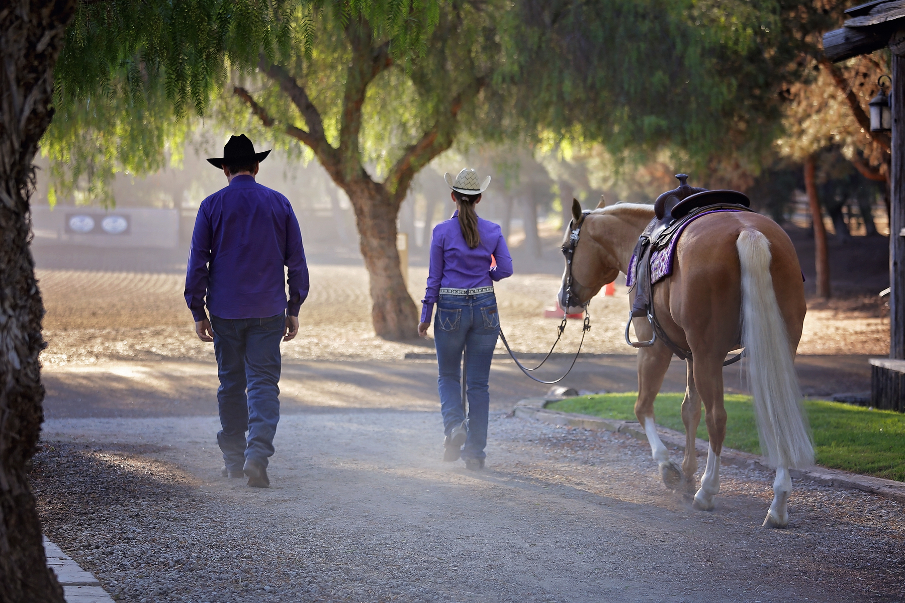 Bales Performance Horses