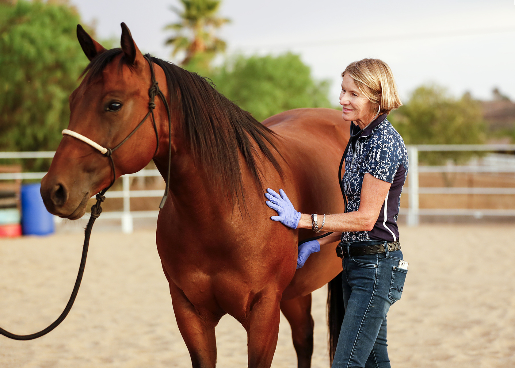 Cedar Creek Holistic Veterinary Practice
