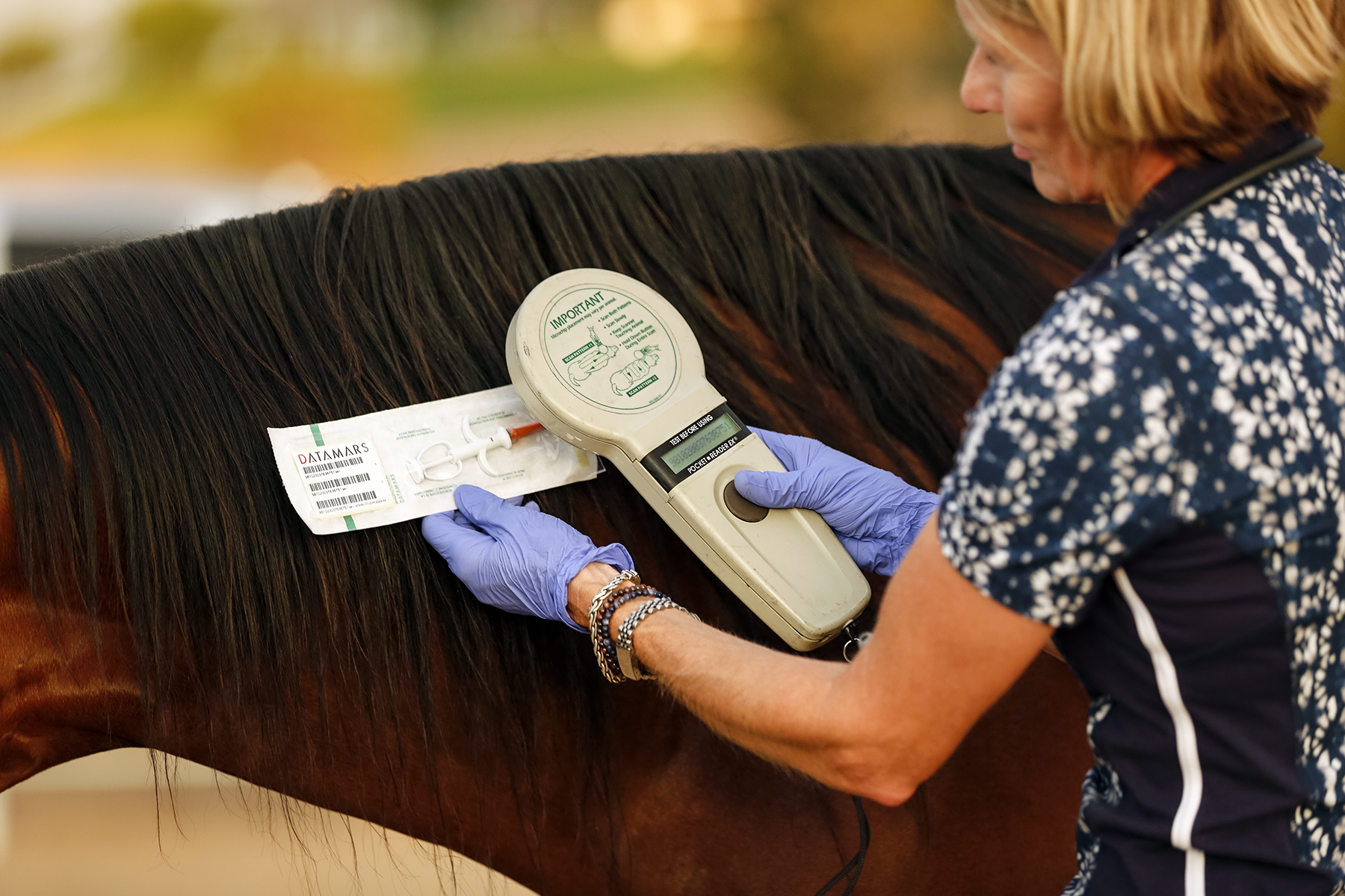 Cedar Creek Holistic Veterinary Practice